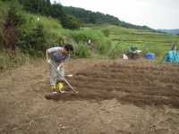 sawada19.JPG